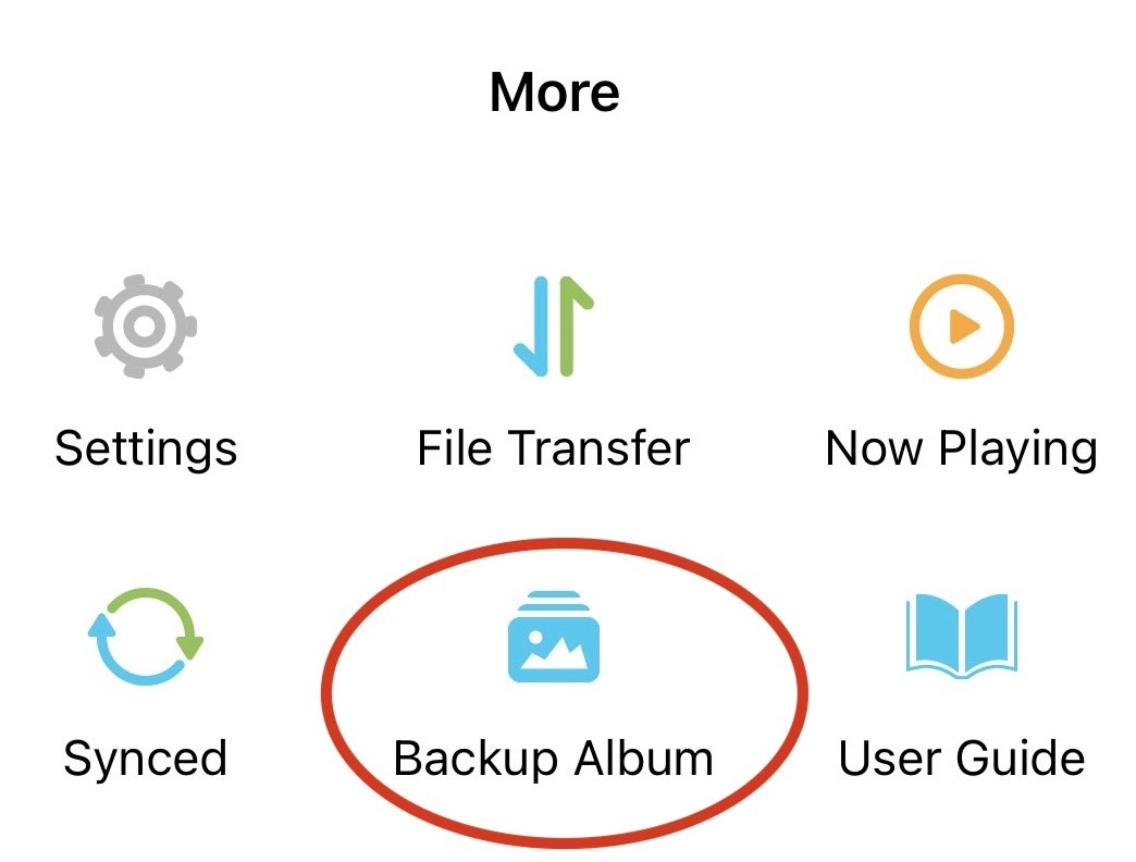 Backup Album in the More tab in Owlfiles