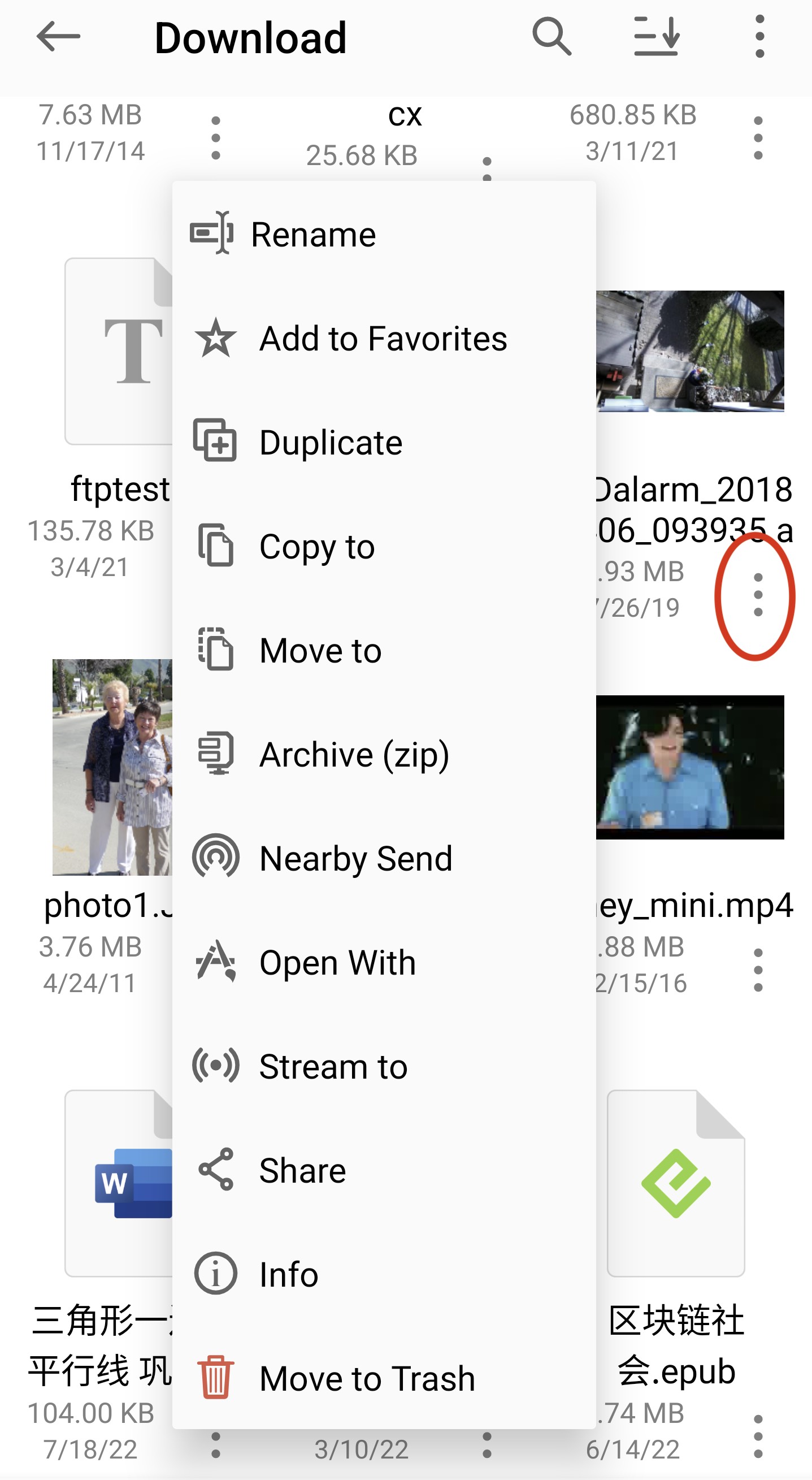The Rename action in the file context menu