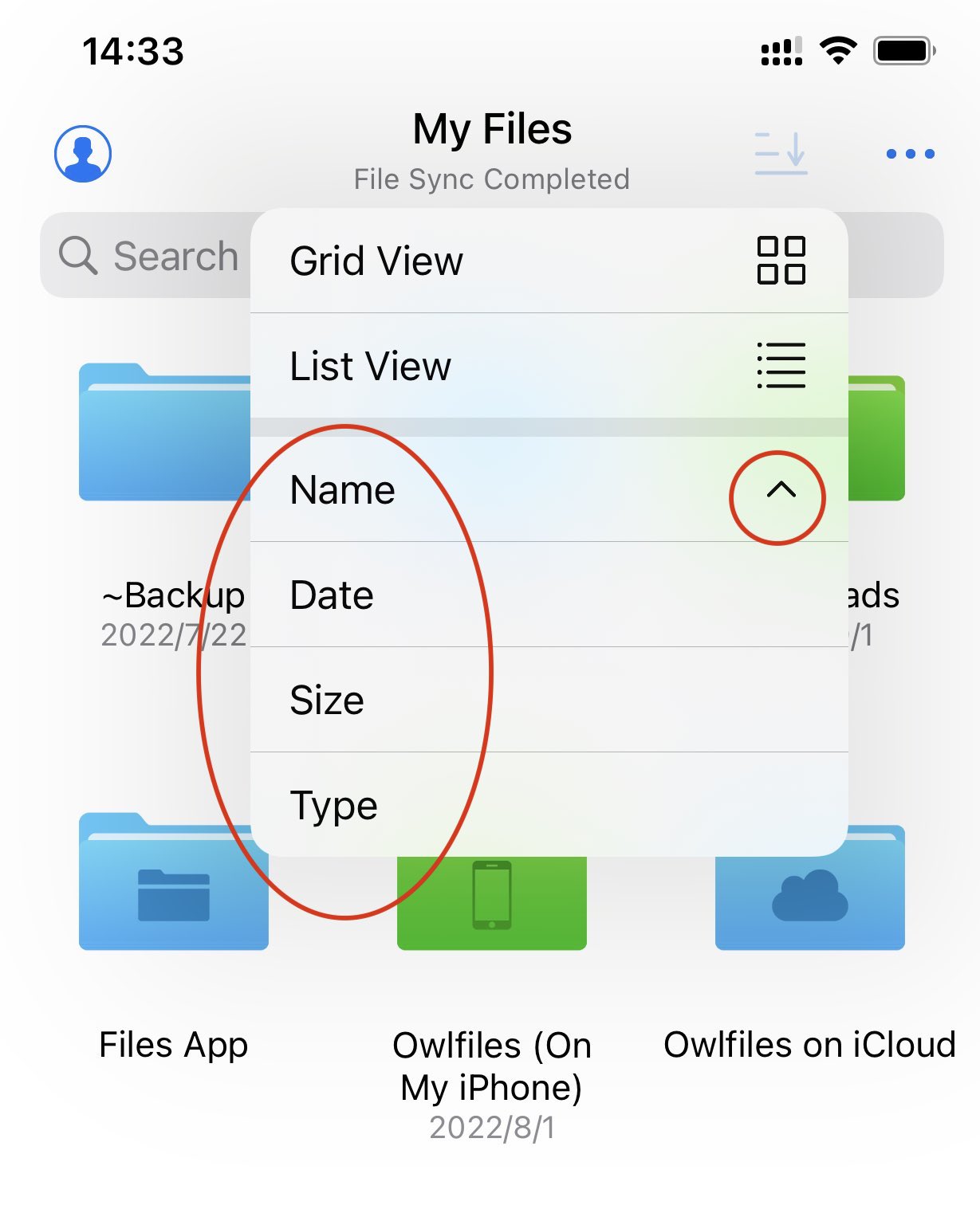 The sort menu in Owlfiles for iOS